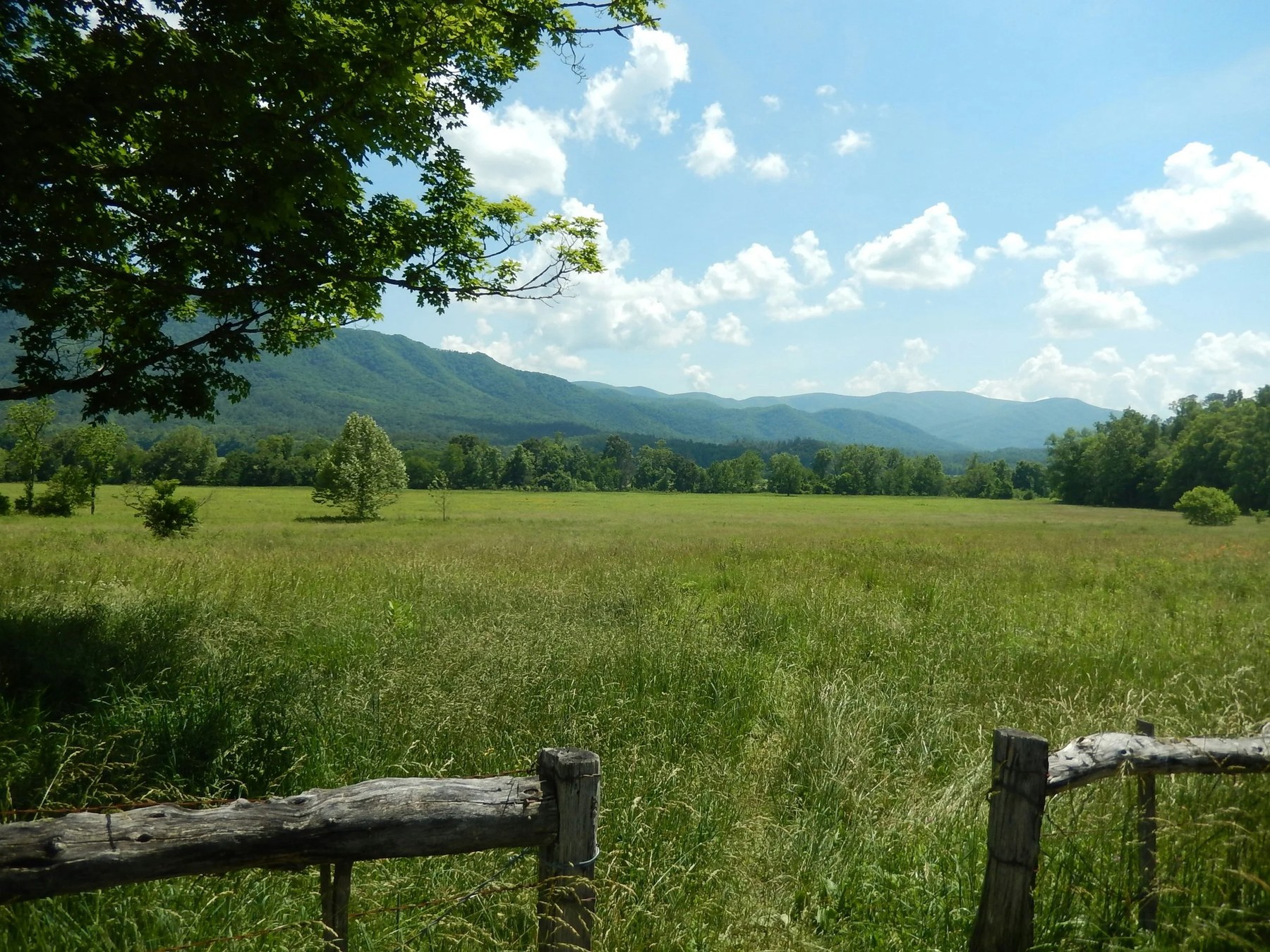 Offerings 1 Green pasture, fence and distant mountains